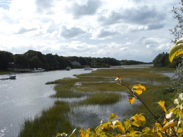 Harwich Herring River